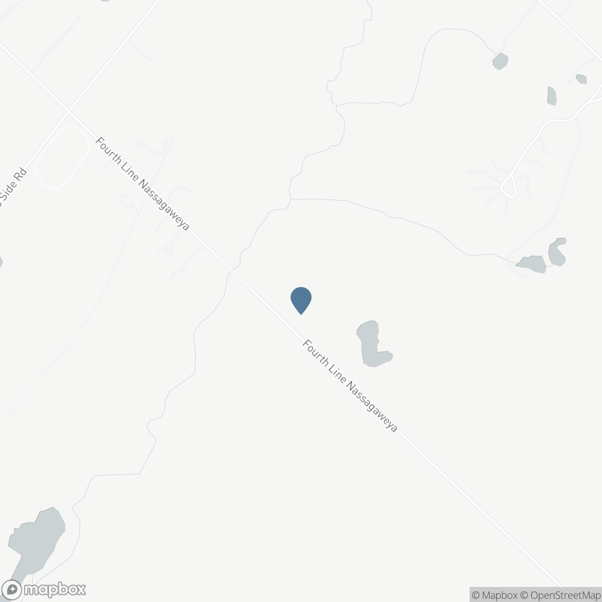 13489 FOURTH LINE NASSAGAWEYA, Milton, Ontario N0B 2K0